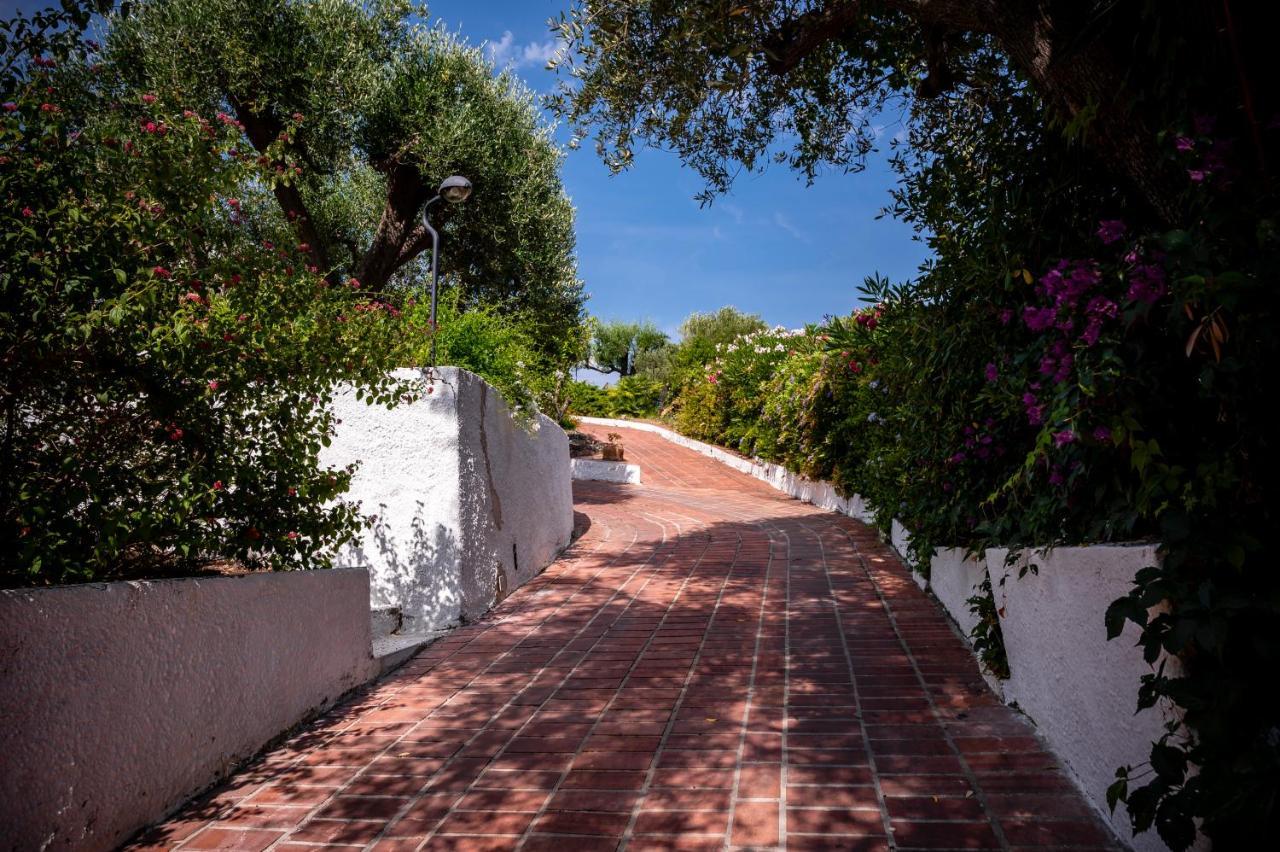 B&B Casabianca Palinuro Extérieur photo