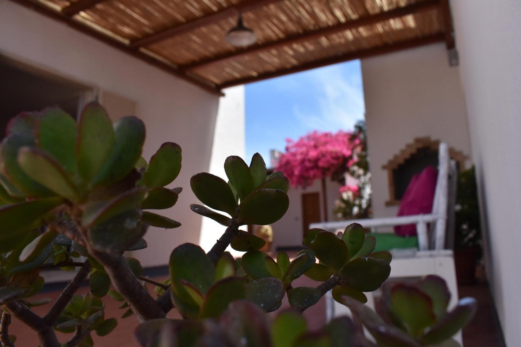 B&B Casabianca Palinuro Extérieur photo