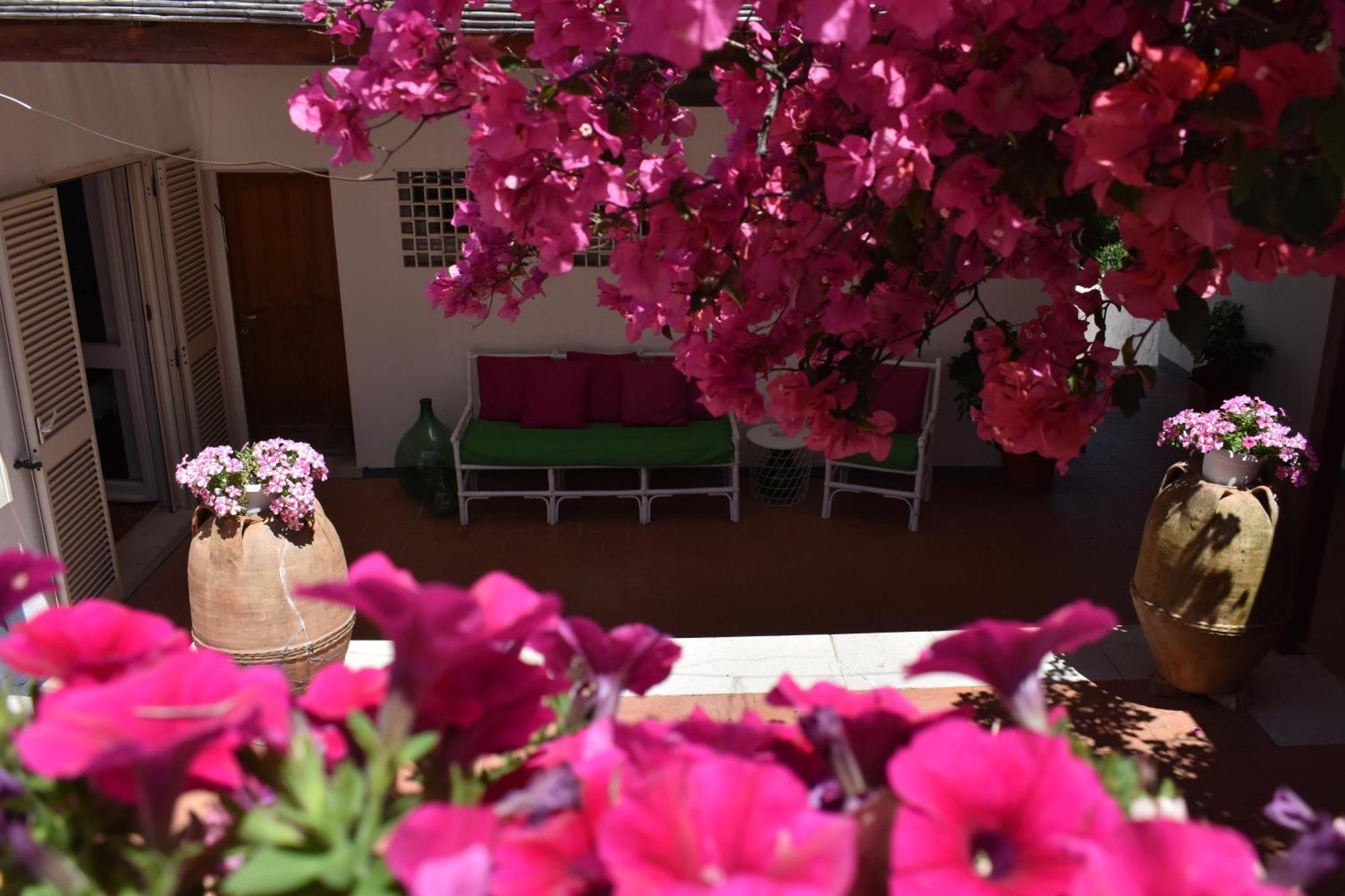 B&B Casabianca Palinuro Extérieur photo