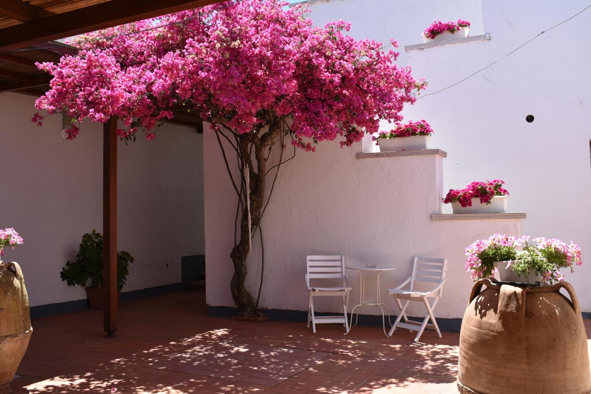 B&B Casabianca Palinuro Extérieur photo