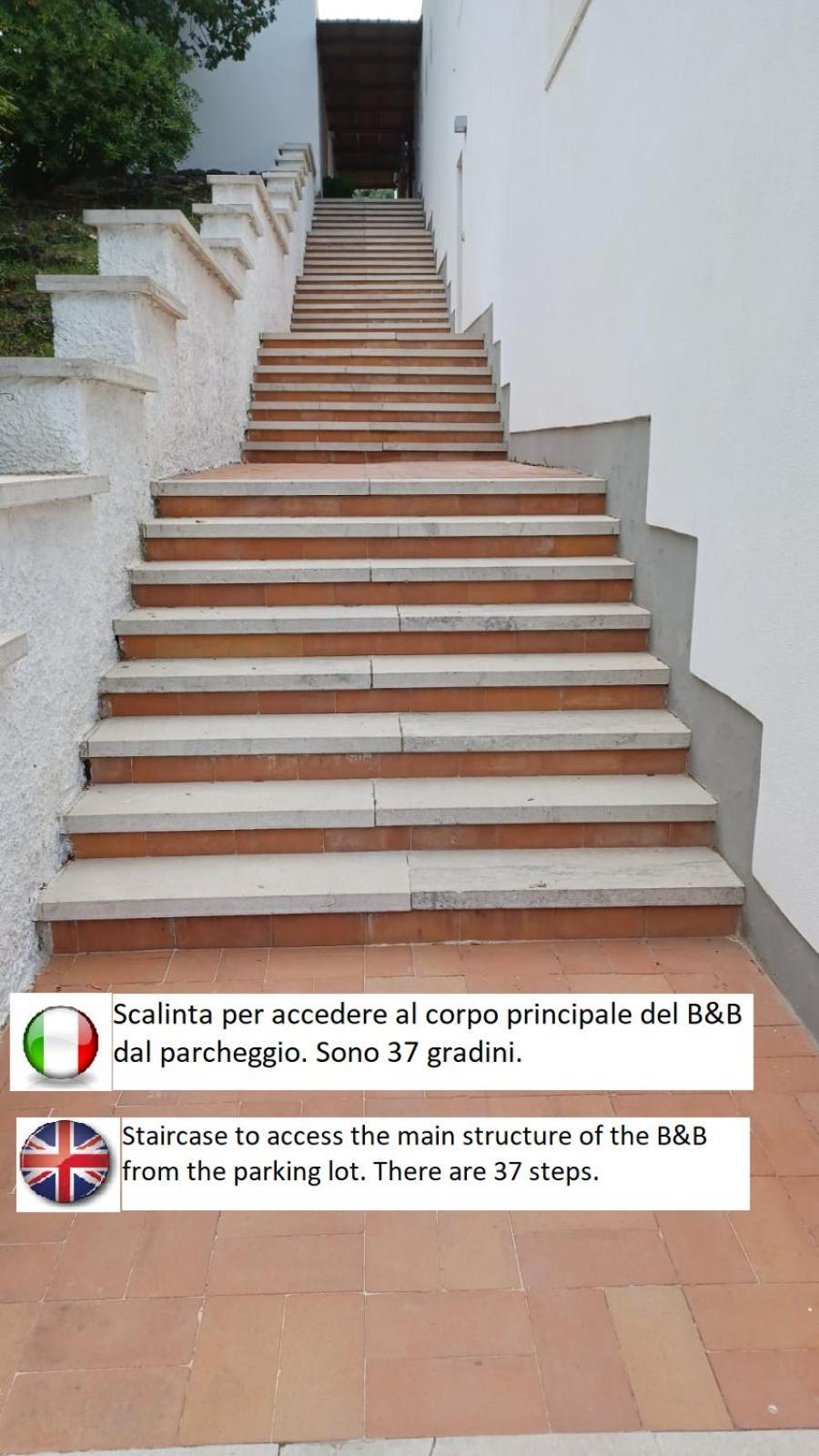 B&B Casabianca Palinuro Extérieur photo